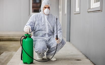pest control Little Rock AR